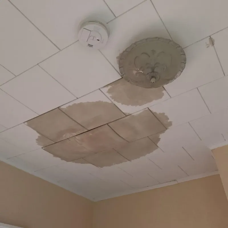 Ceiling Water Damage Repair in Urbana, IL