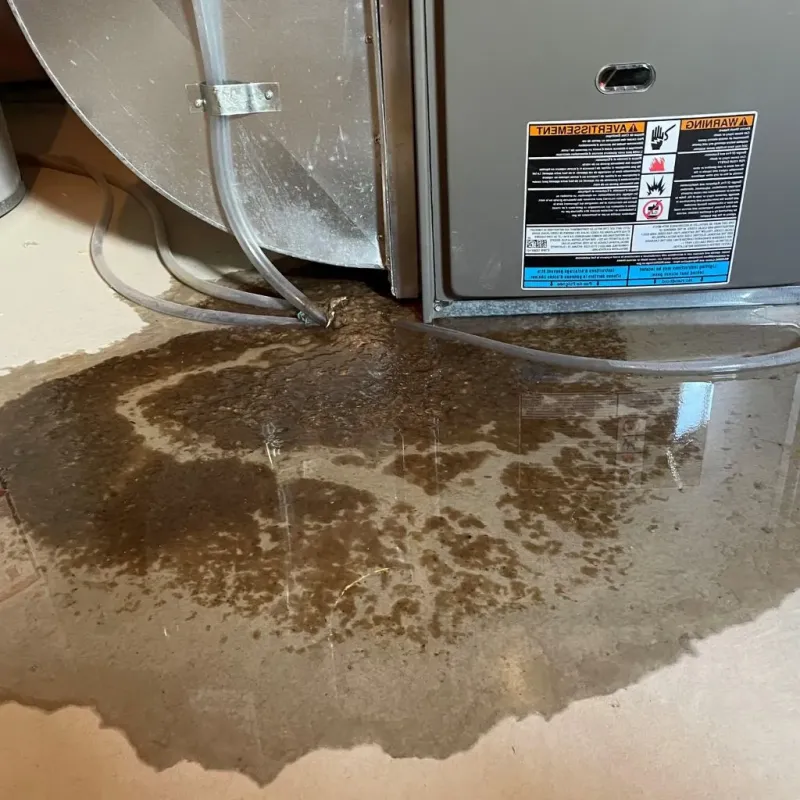 Pipe Burst and Leak Restoration in Urbana, IL