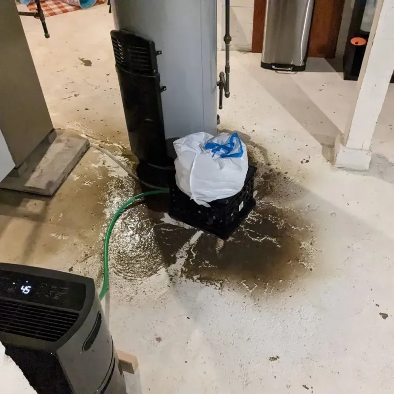 Sewage Backup Cleanup Service in Urbana, IL